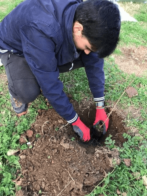 Actividades para reducir la huella de carbono