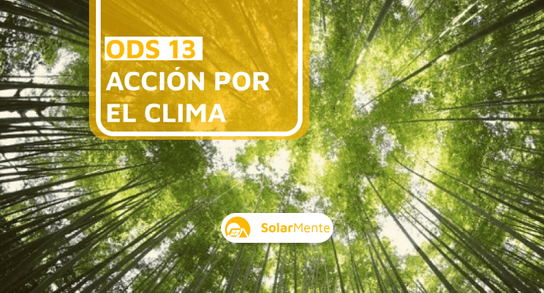 ODS 13 Acción por el clima: cuál es su objetivo y por qué debería ser primordial para las empresas