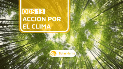 ODS 13 Acción por el clima: cuál es su objetivo y por qué debería ser primordial para las empresas